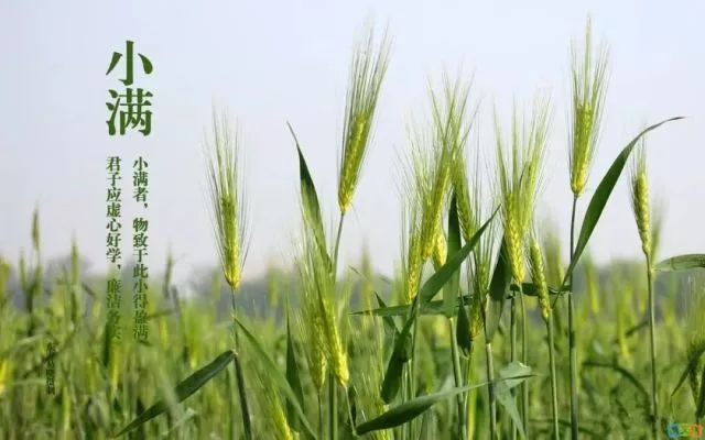 小滿節氣，人生小滿