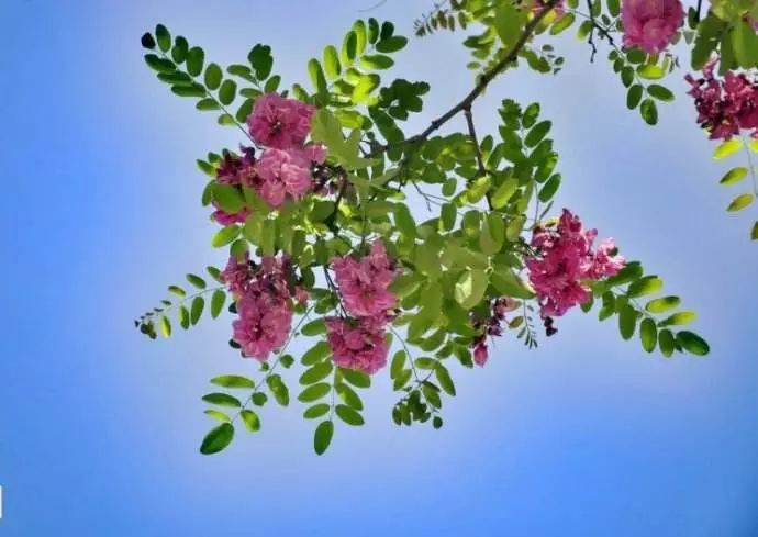 小滿節氣，人生小滿