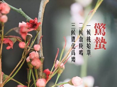 民俗驚蟄含義：驚蟄時節春雷一響萬物長