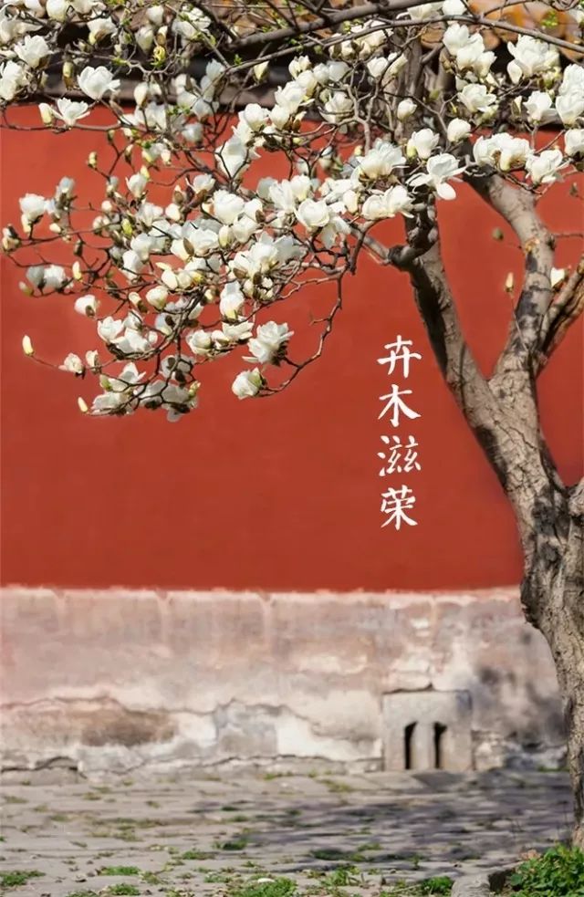 三月三中國傳統文化，上巳節重拾古人風雅！