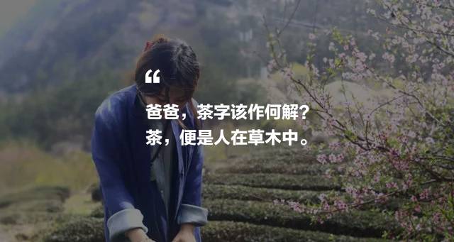 曉陽春茶，尋找茶道融于茶水中的美好生活