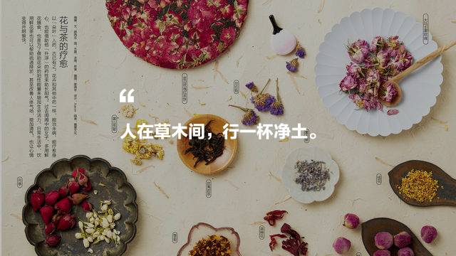 中國茶道禪茶館，茶乃人生樂事