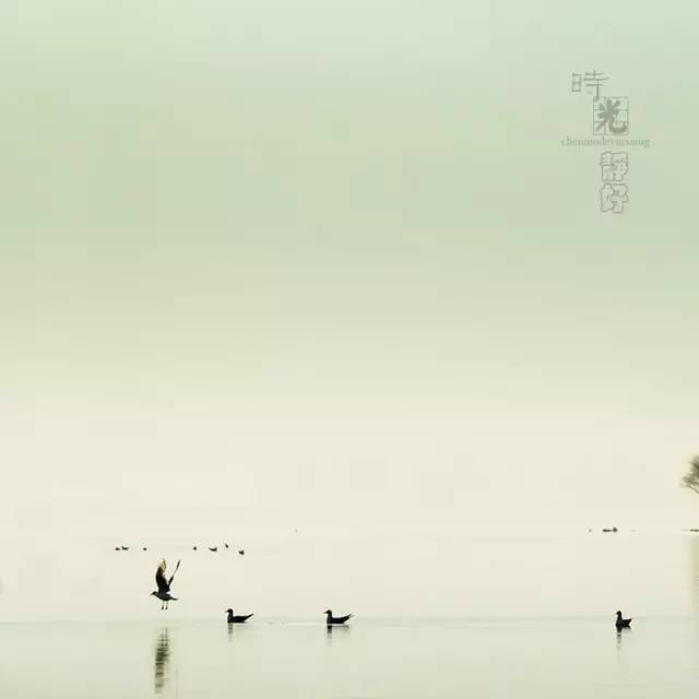 風景攝影作品時光靜好：邛海景色！