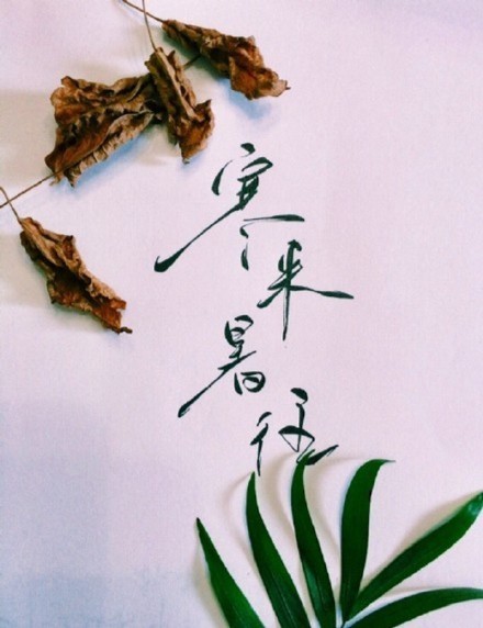 別致新穎的書法字體，美的很有意境！
