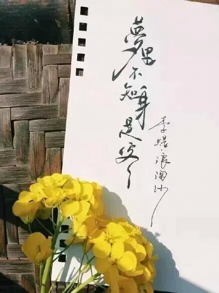 別致新穎的書法字體，美的很有意境！
