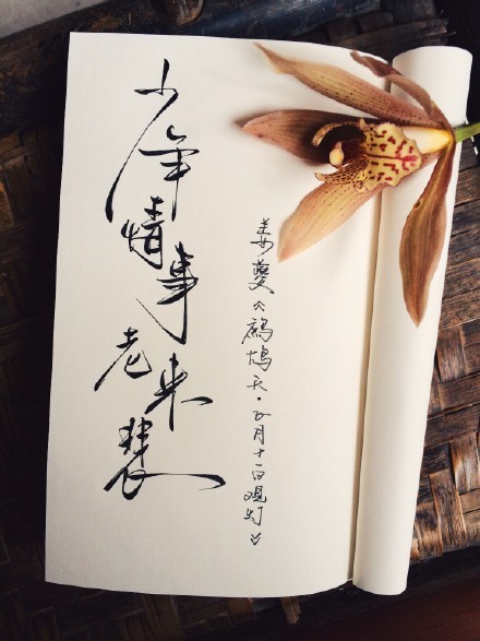 別致新穎的書法字體，美的很有意境！