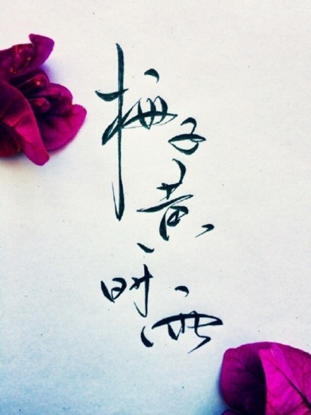 別致新穎的書法字體，美的很有意境！