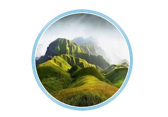 踏青尋色：春光無(wú)限好，只為等待一個(gè)你