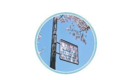 踏青尋色：春光無(wú)限好，只為等待一個(gè)你