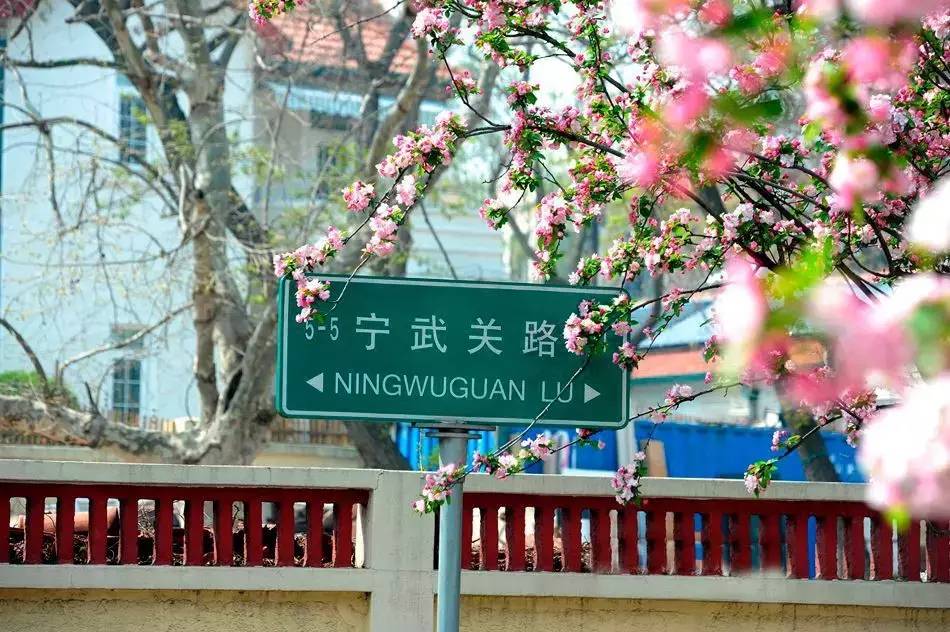 清明小長假,去這9個絕美的地方踏青