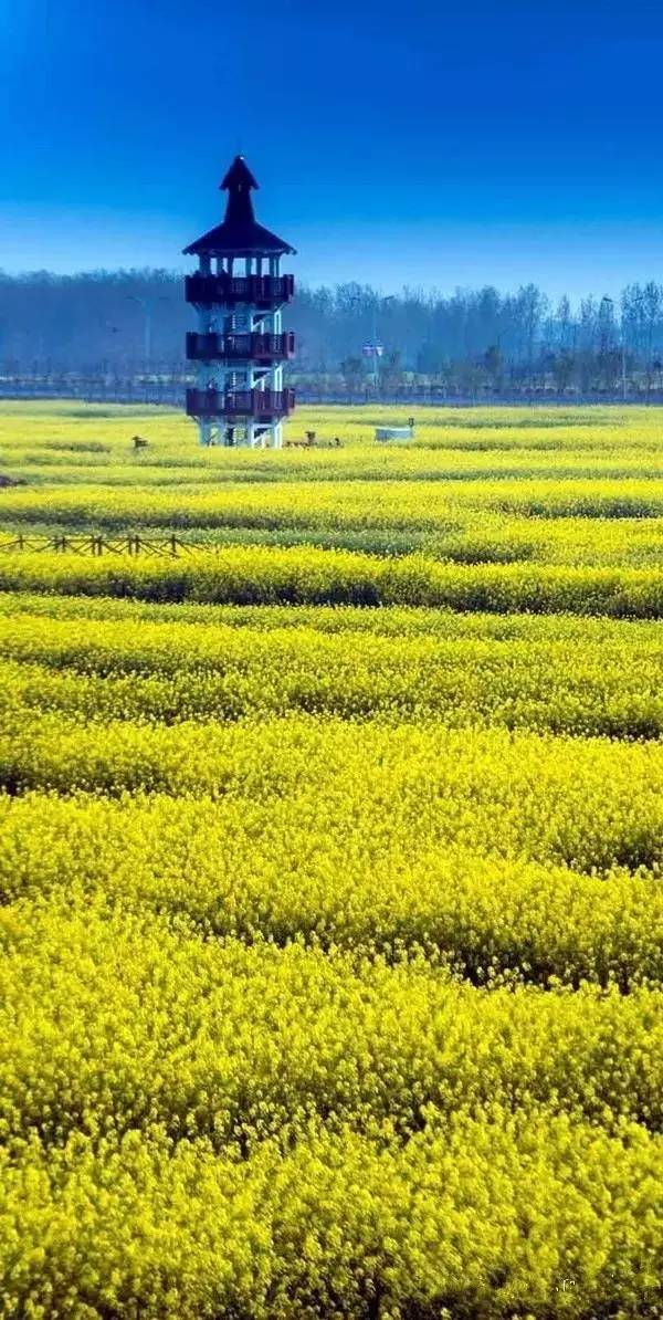 清明小長假,去這9個絕美的地方踏青