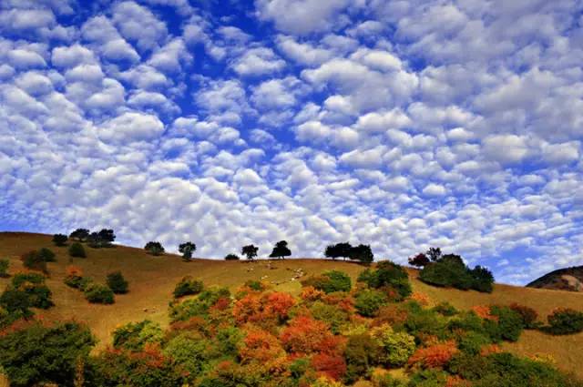 十處優(yōu)美的山水風(fēng)景，錦繡山河如詩如畫！