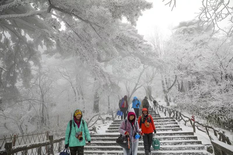 雪后黃山風景宛如人間仙境，舞一曲雪中霓裳羽