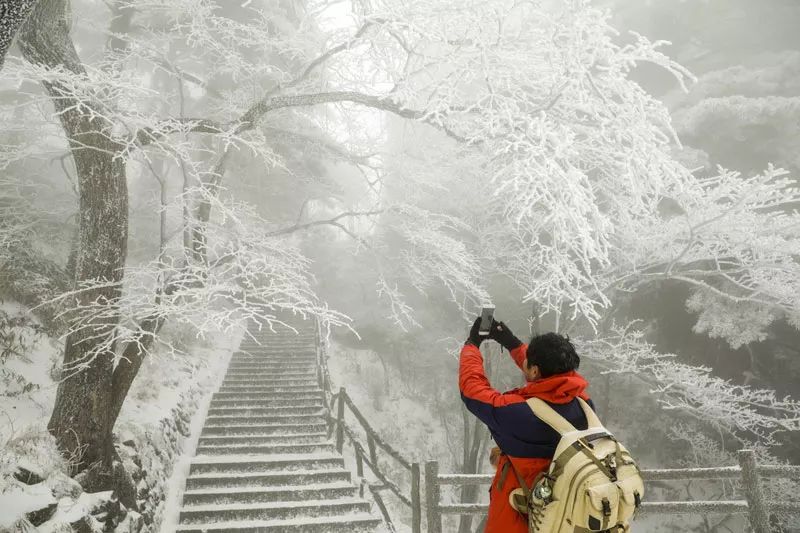 雪后黃山風景宛如人間仙境，舞一曲雪中霓裳羽