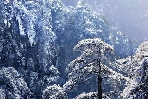 雪后黃山風景宛如人間仙境，舞一曲雪中霓裳羽