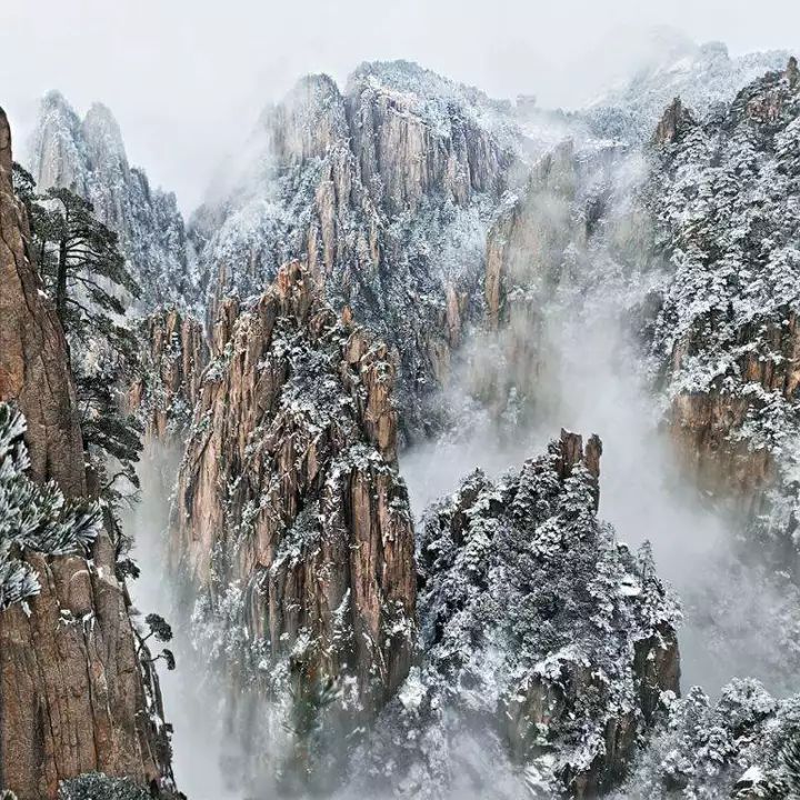 雪后黃山風景宛如人間仙境，舞一曲雪中霓裳羽