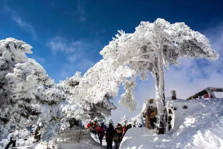 雪后黃山風景宛如人間仙境，舞一曲雪中霓裳羽