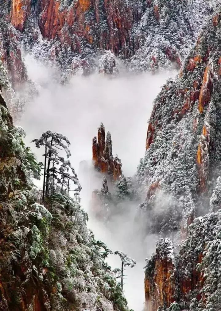 雪后黃山風景宛如人間仙境，舞一曲雪中霓裳羽