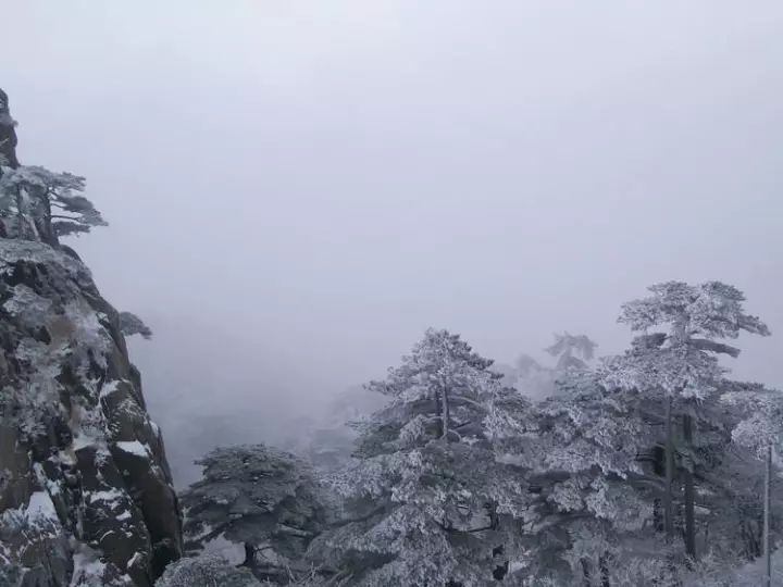雪后黃山風景宛如人間仙境，舞一曲雪中霓裳羽