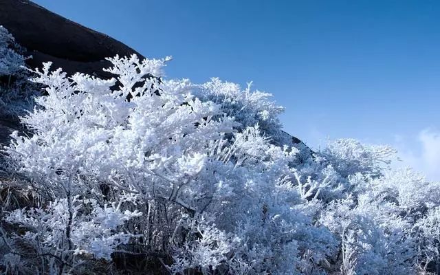 雪后黃山風景宛如人間仙境，舞一曲雪中霓裳羽
