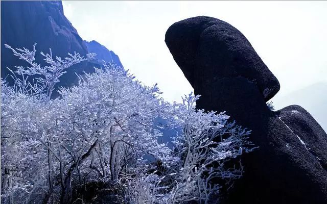 雪后黃山風景宛如人間仙境，舞一曲雪中霓裳羽