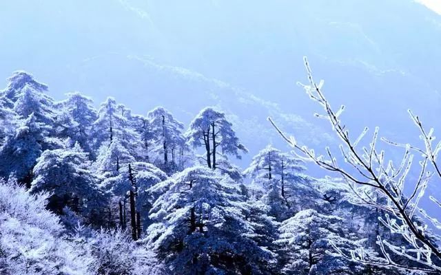 雪后黃山風景宛如人間仙境，舞一曲雪中霓裳羽