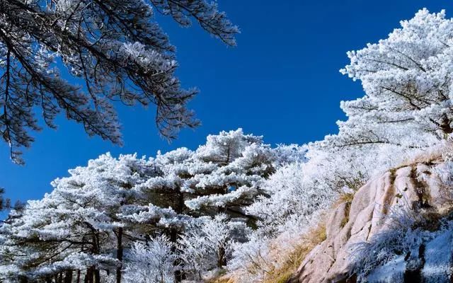 雪后黃山風景宛如人間仙境，舞一曲雪中霓裳羽