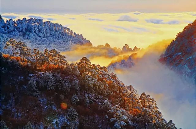 雪后黃山風景宛如人間仙境，舞一曲雪中霓裳羽