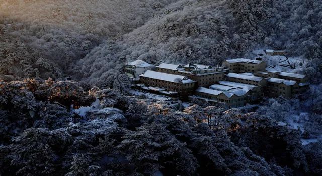 雪后黃山風景宛如人間仙境，舞一曲雪中霓裳羽