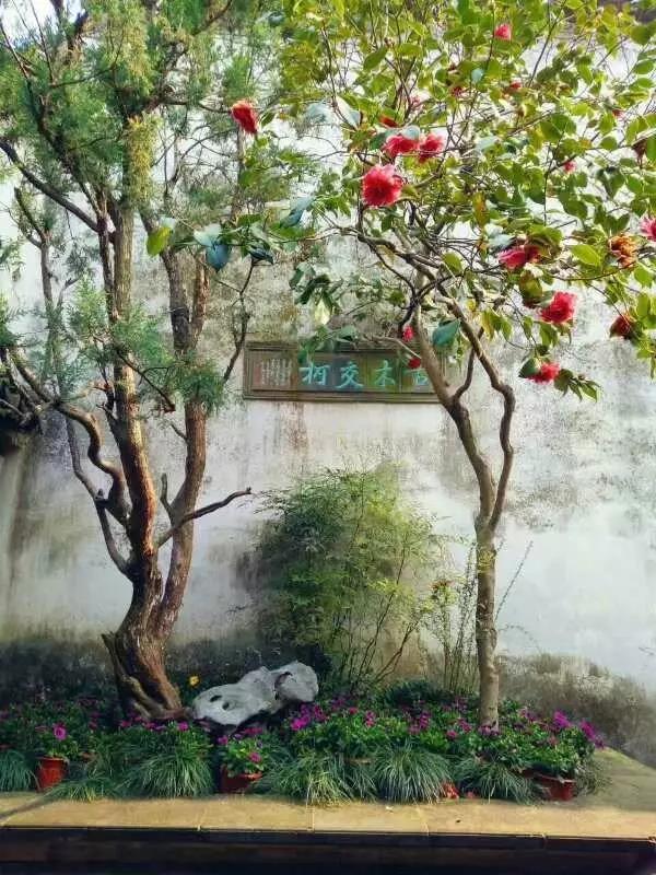 中國的四大名園，意想不到的風景園林美!