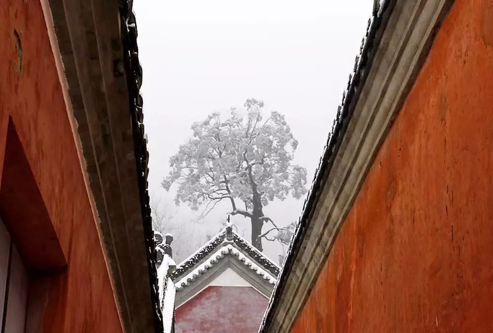 武當山雪景攝影:雪后武當是仙山