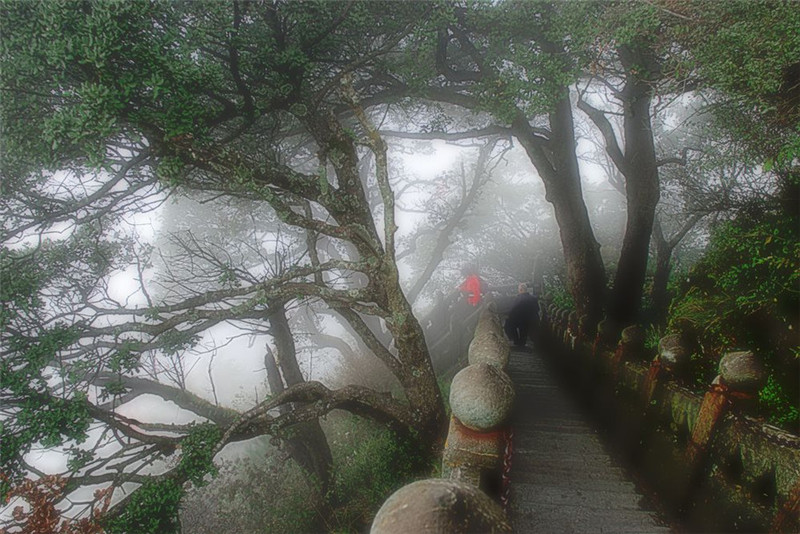 夏日的五岳之冠武當山