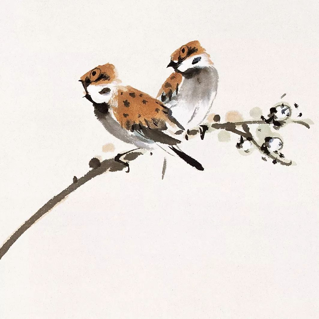 100幅禽鳥百圖，國畫鳥類美醉了！