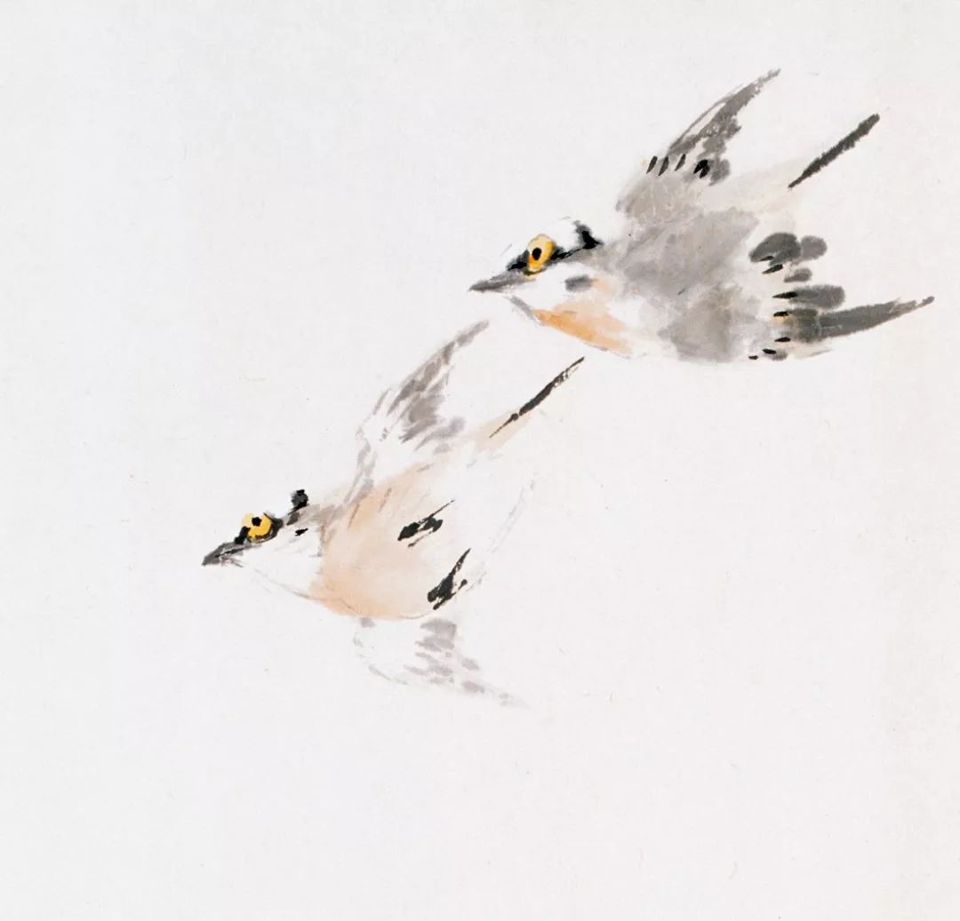 100幅禽鳥百圖，國畫鳥類美醉了！