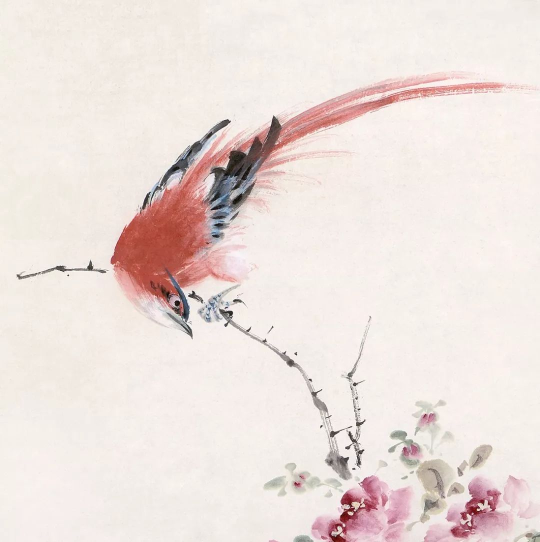 100幅禽鳥百圖，國畫鳥類美醉了！