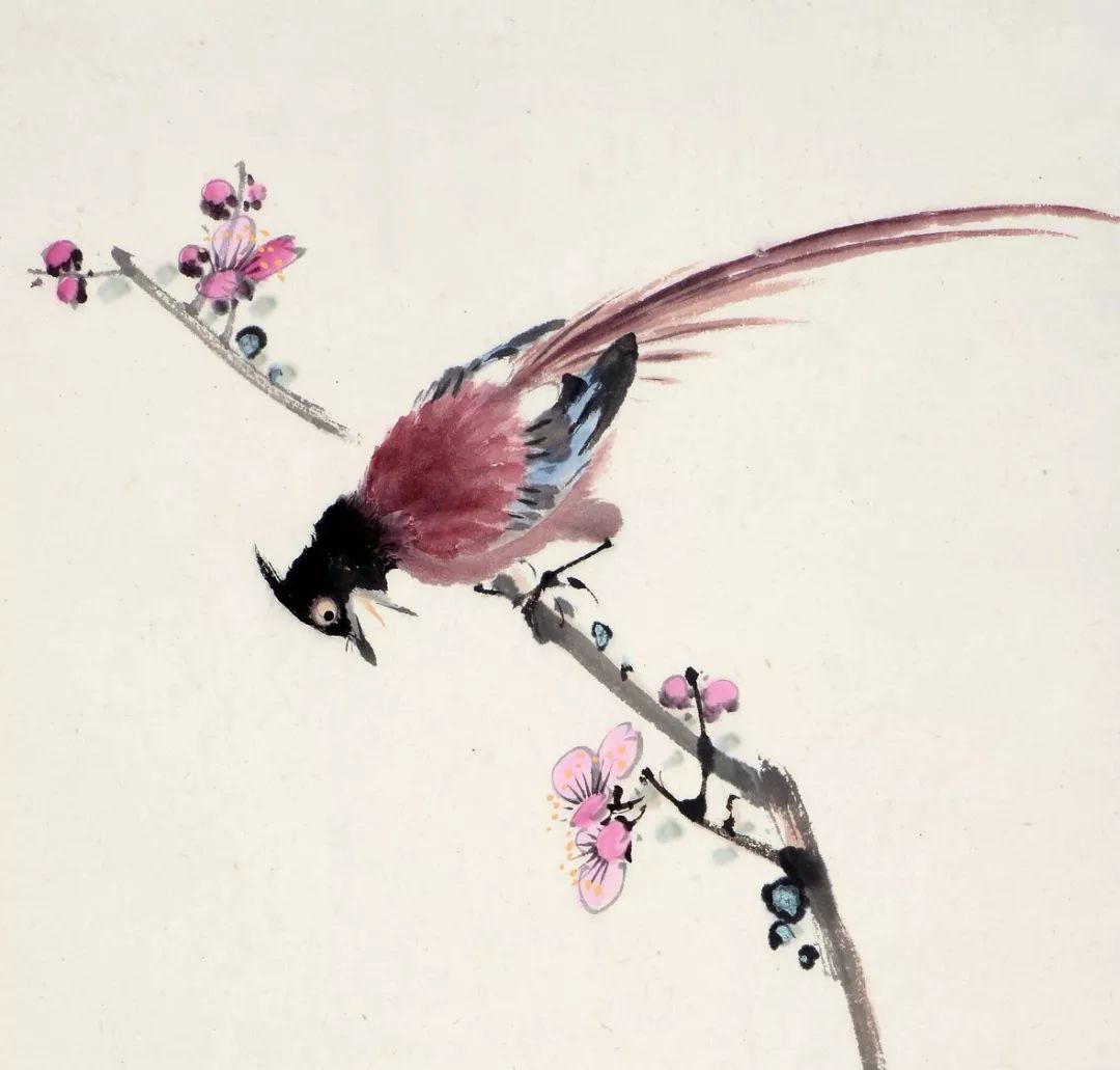 100幅禽鳥百圖，國畫鳥類美醉了！