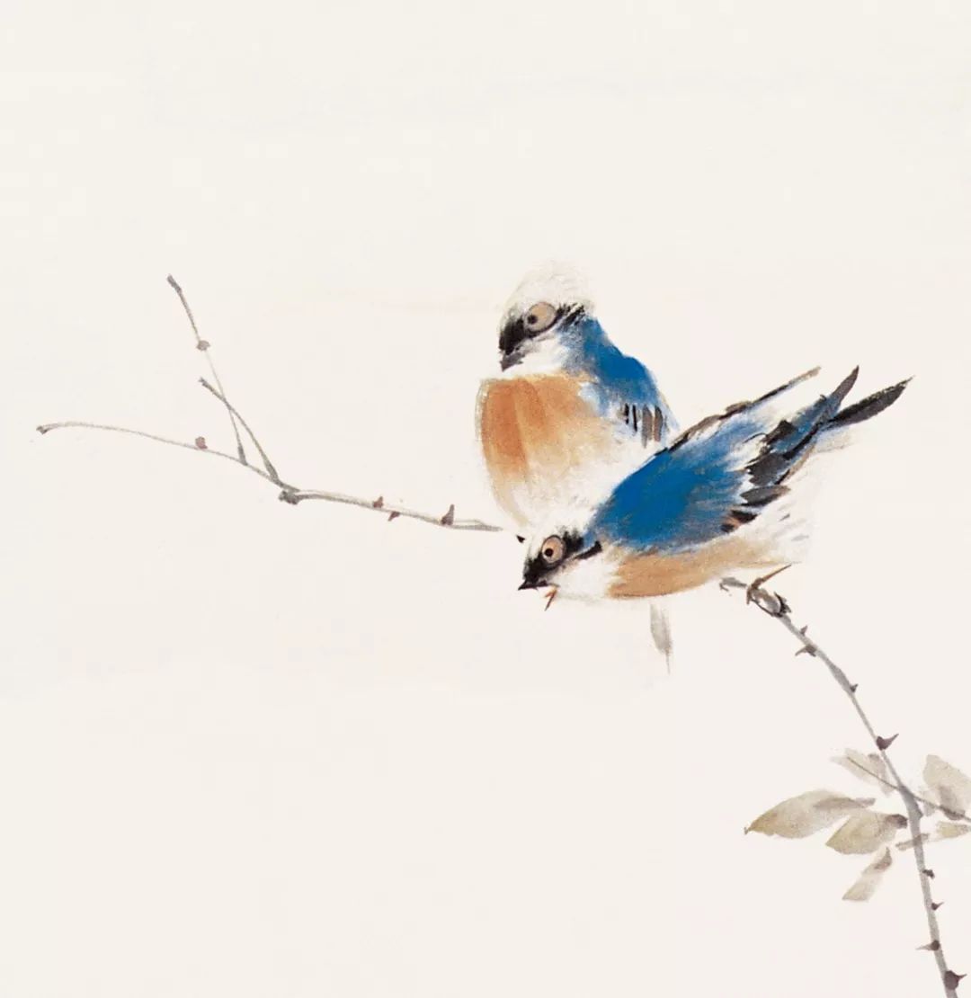 100幅禽鳥百圖，國畫鳥類美醉了！