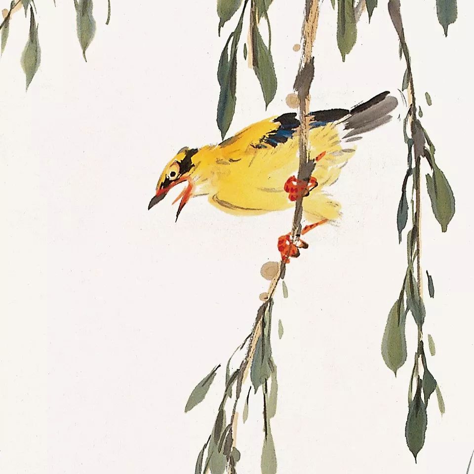 100幅禽鳥百圖，國畫鳥類美醉了！