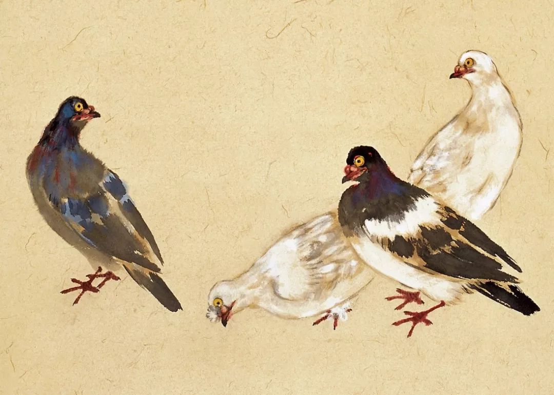 100幅禽鳥百圖，國畫鳥類美醉了！