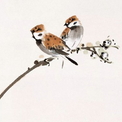100幅禽鳥百圖，國畫鳥類美醉了！