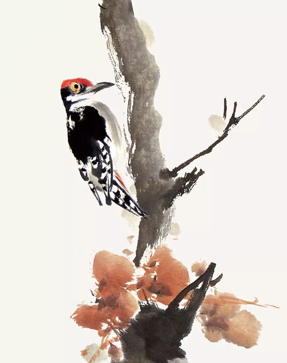 100幅禽鳥百圖，國畫鳥類美醉了！