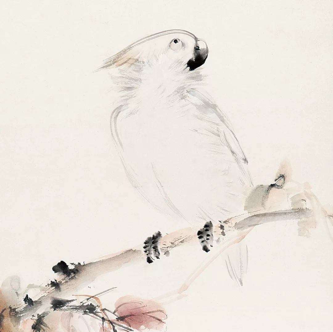 100幅禽鳥百圖，國畫鳥類美醉了！
