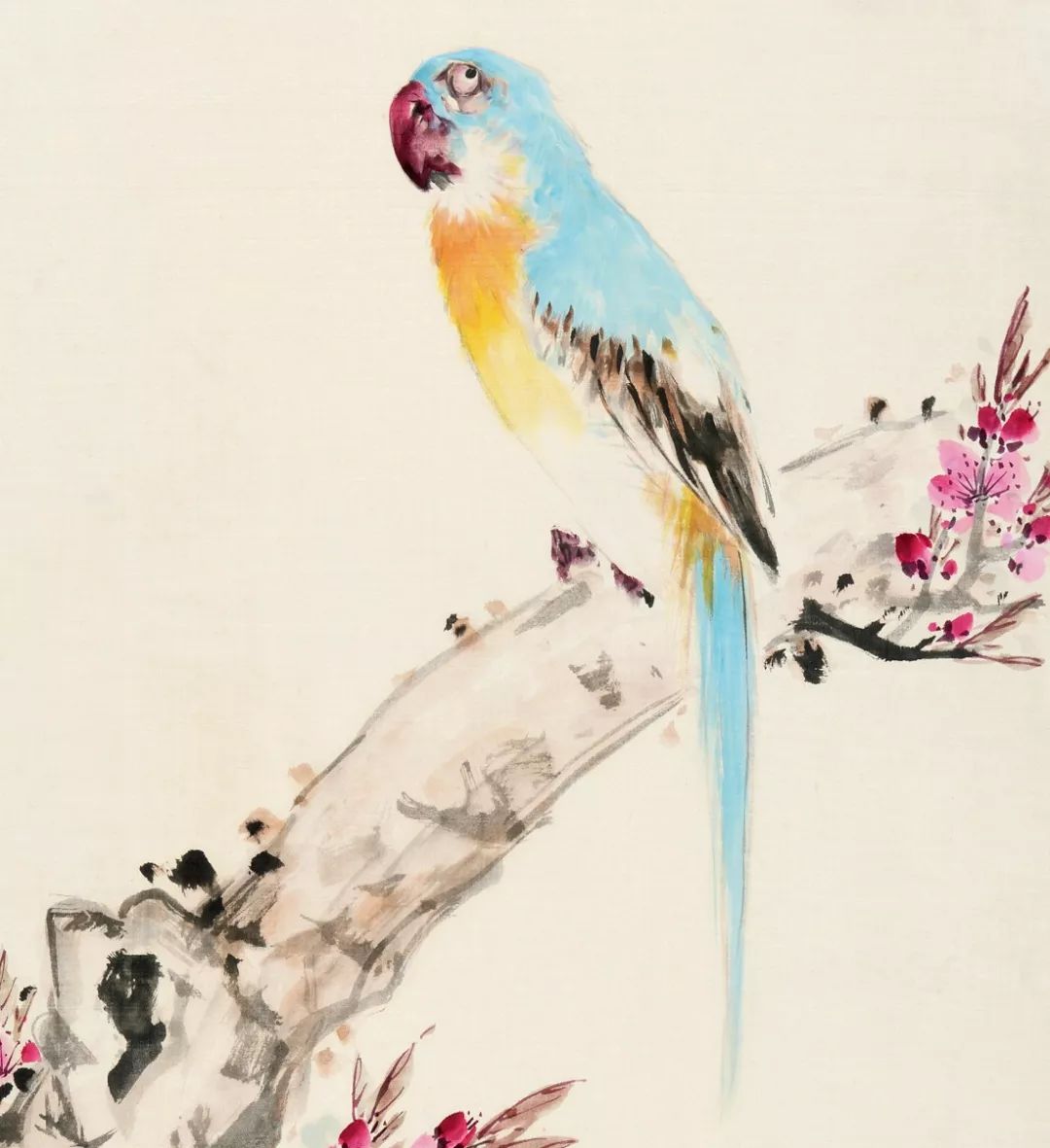 100幅禽鳥百圖，國畫鳥類美醉了！