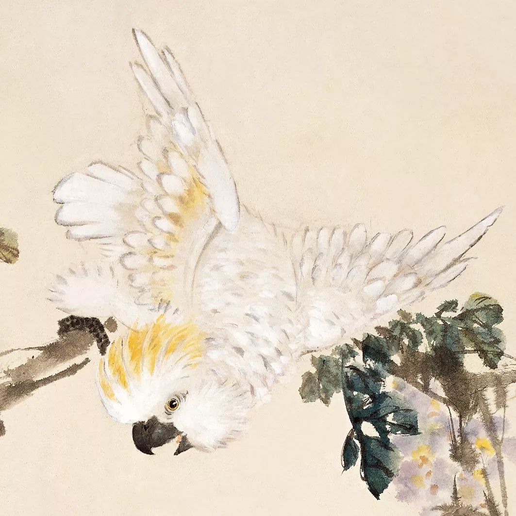 100幅禽鳥百圖，國畫鳥類美醉了！
