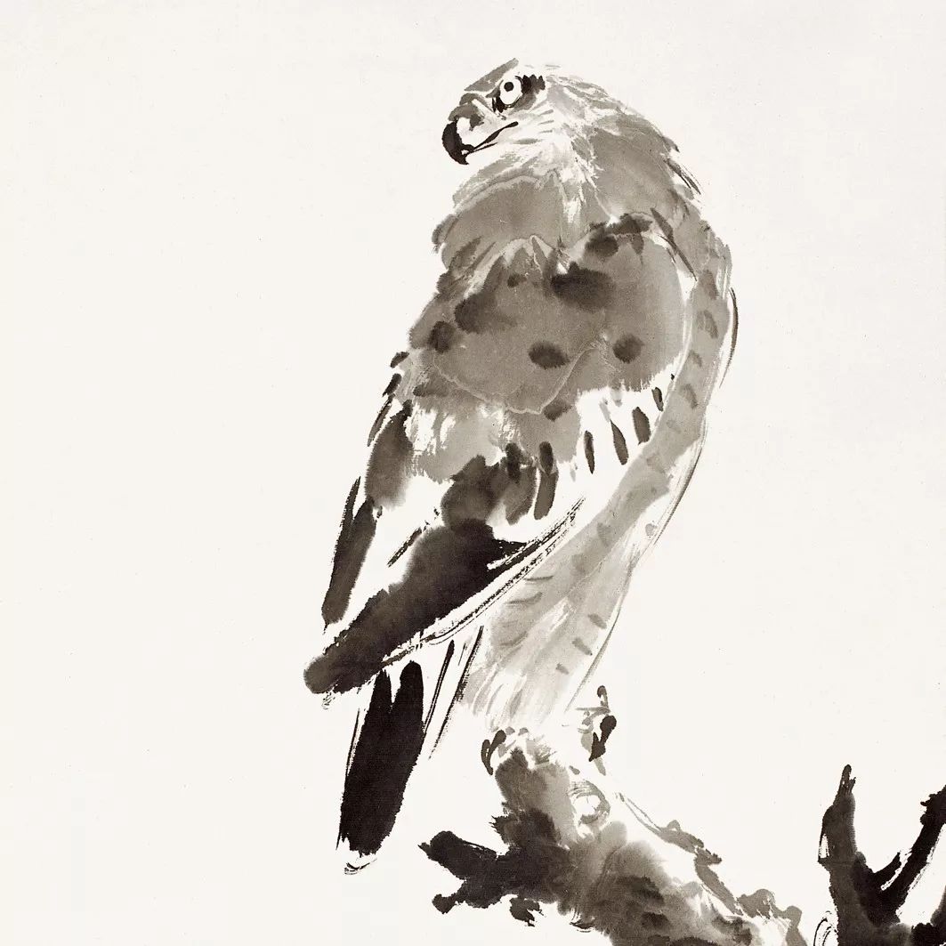 100幅禽鳥百圖，國畫鳥類美醉了！