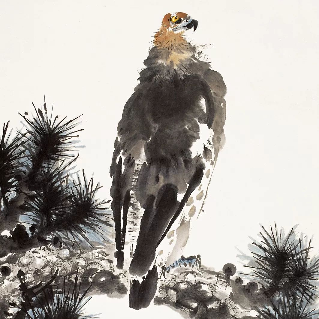 100幅禽鳥百圖，國畫鳥類美醉了！