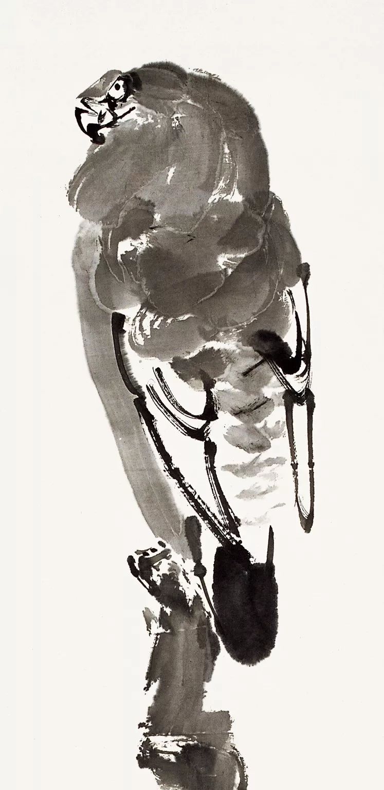 100幅禽鳥百圖，國畫鳥類美醉了！