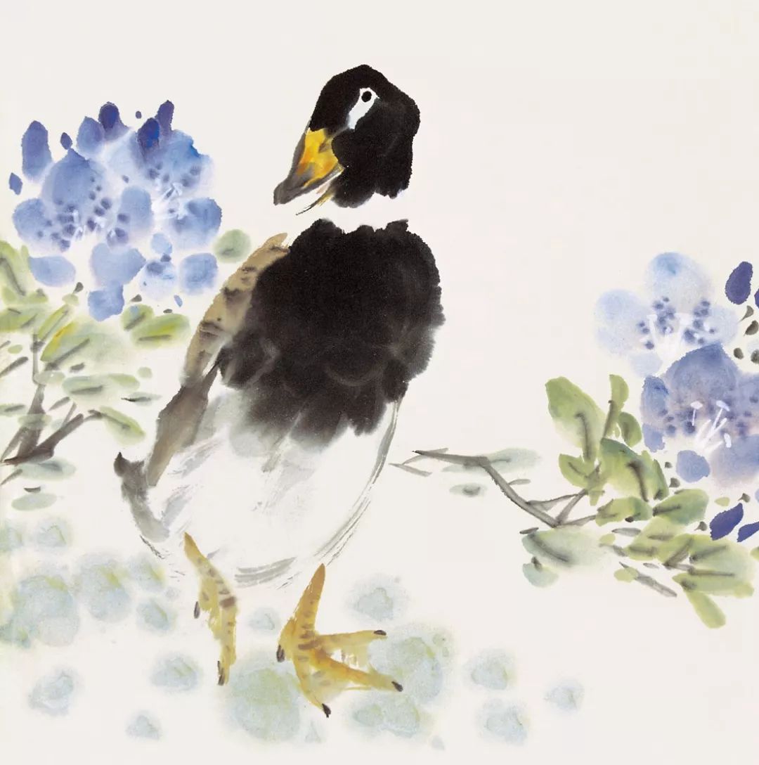 100幅禽鳥百圖，國畫鳥類美醉了！