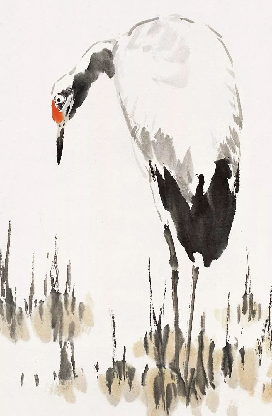 100幅禽鳥百圖，國畫鳥類美醉了！