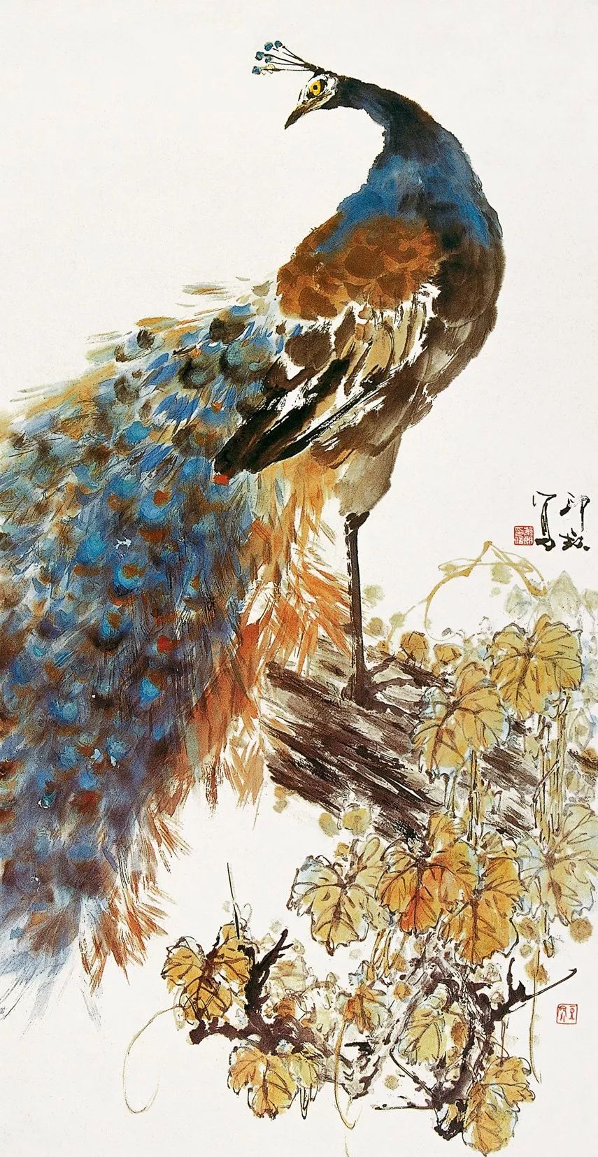 100幅禽鳥百圖，國畫鳥類美醉了！